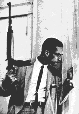 Thesis on malcolm x with rifle